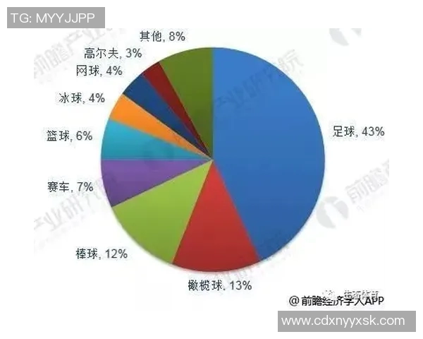 海归足球明星的崛起与影响力分析及其在中国足球发展的角色探讨