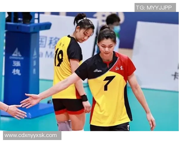 西安排球队比赛经验分享与排球战术探讨的深度分析与启示